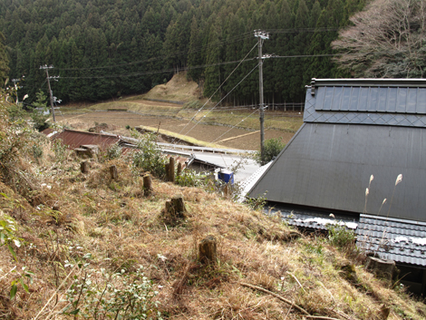 20140105hike (309)